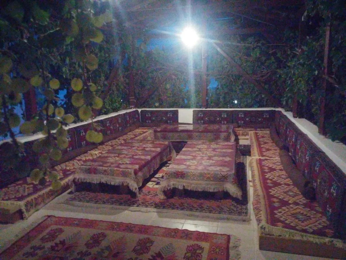 Turtle Beach Bungalows Dalyan Turkey